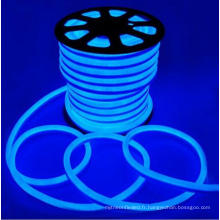 AC110V 220V LED Neon Flex Lumière 80LEDs / m 8 * 16mm LED Flexible Neon Strip